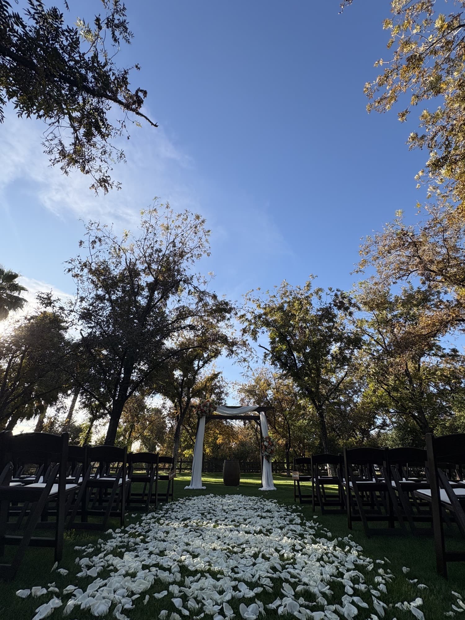 Ceremony to last dance, without a single dead moment.